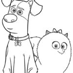Raskrasil-The Secret Life of Pets (1)