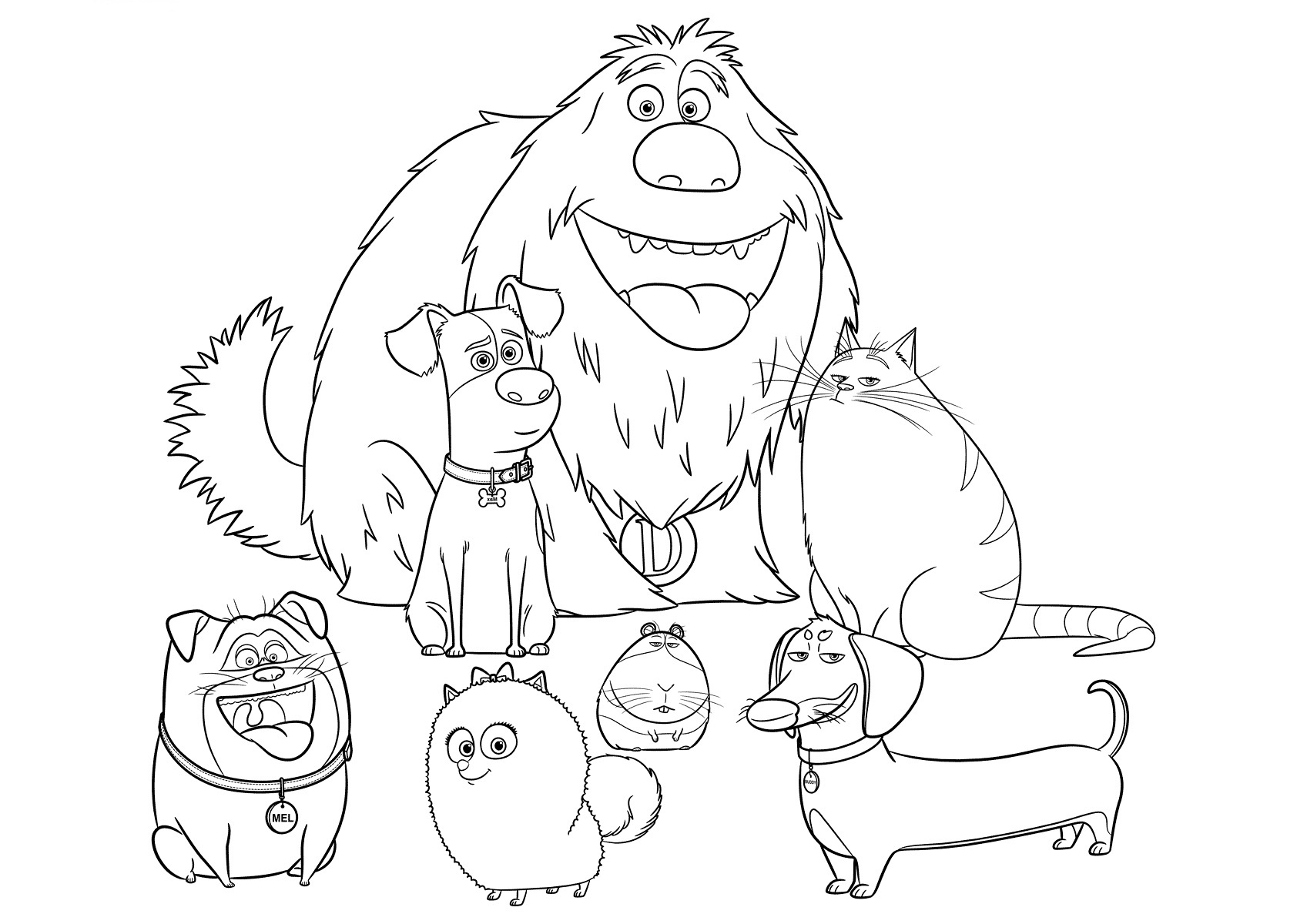 buddy coloring pages for children the secret life of pets