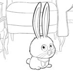 Raskrasil-The Secret Life of Pets (28)