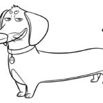 Raskrasil-The Secret Life of Pets (33)