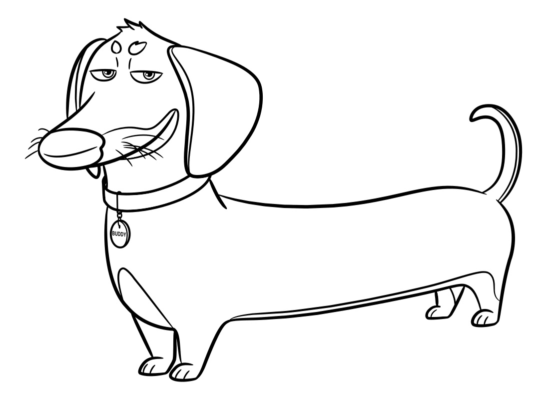 Dachshund Puppy Birthday Coloring Page - 95 Dog Coloring Pages For Kids