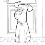 Raskrasil-The Secret Life of Pets (39)
