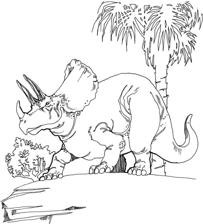 Ausmalbilder Triceratops. Kostenlos herunterladen oder ausdrucken