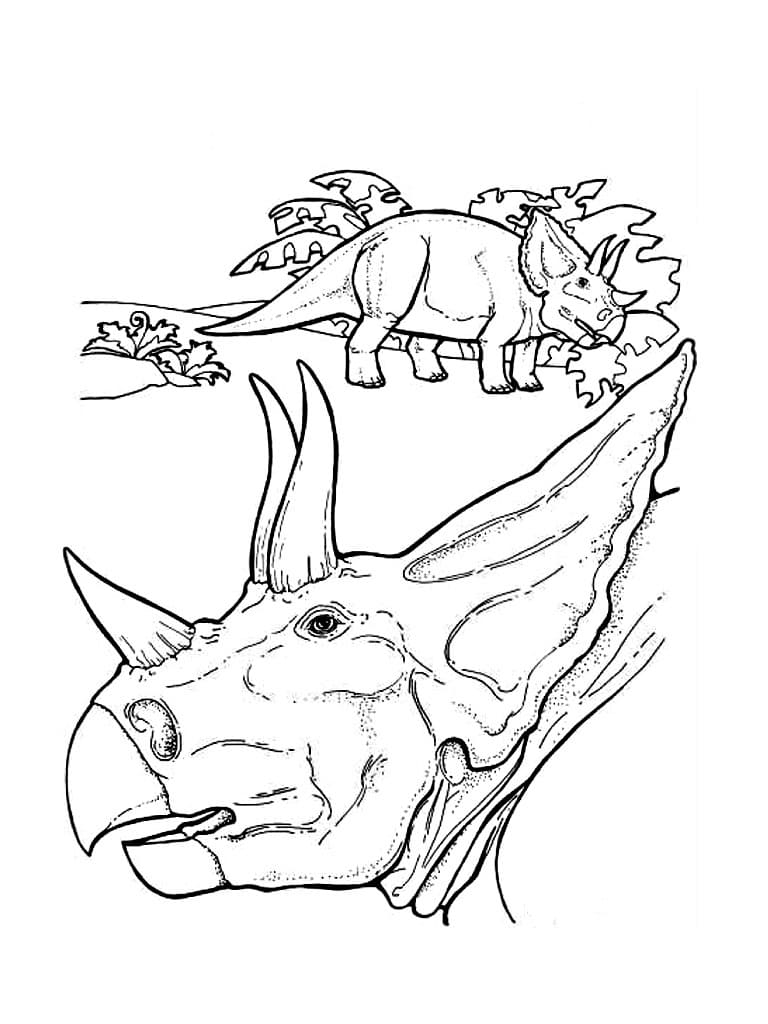 Coloring pages Triceratops. Download or print for free