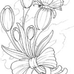 Raskrasil - Vesna (2)