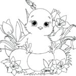 Raskrasil - Vesna (26)