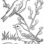 Raskrasil - Vesna (27)