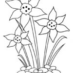 Raskrasil - Vesna (32)