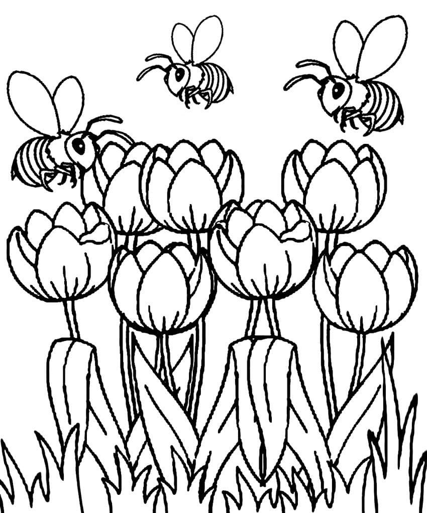 Desenhos da Primavera para Colorir - 80 imagens para impressão gratuita
