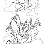 Raskrasil - Vesna (40)