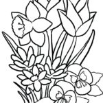 Raskrasil - Vesna (41)