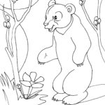 Raskrasil - Vesna (43)