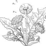 Raskrasil - Vesna (45)