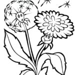 Raskrasil - Vesna (55)