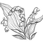 Raskrasil - Vesna (56)