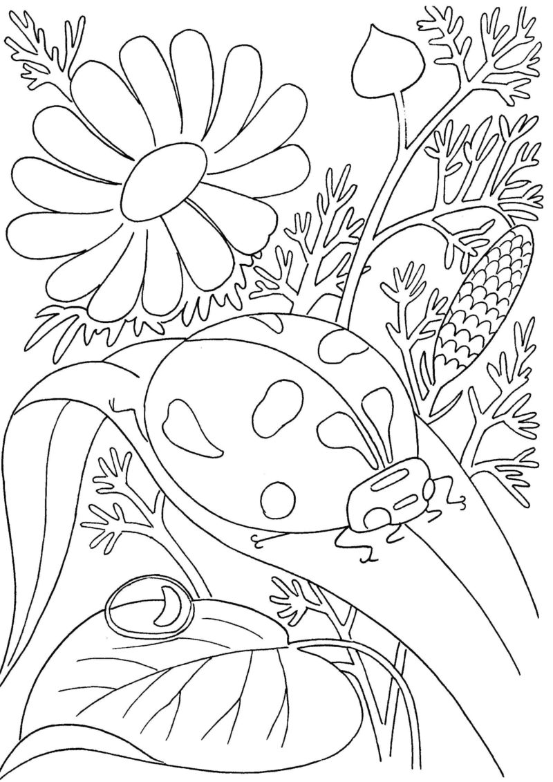 Dibujos de Primavera para Colorear