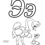 Raskrasil-bukvy-30