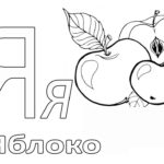Raskrasil-bukvy-32