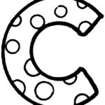Raskrasil - cheese (13)