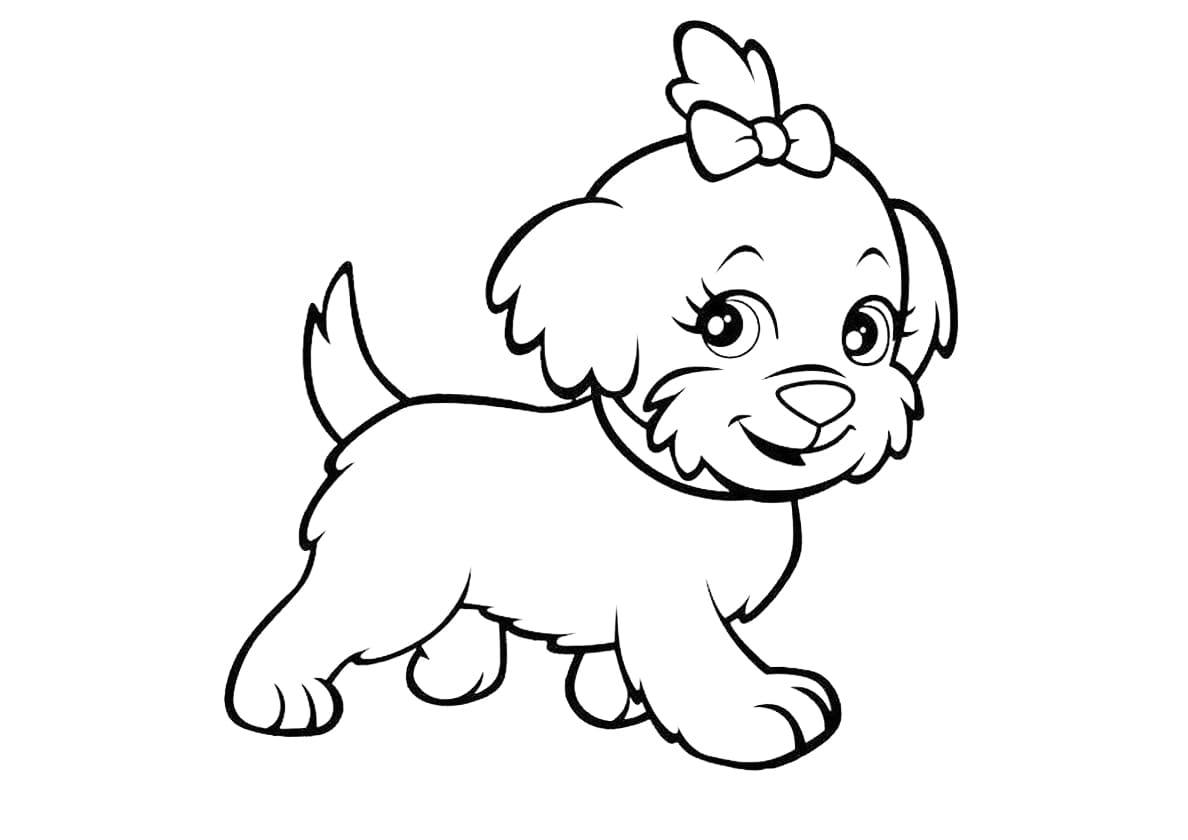 Raskrasil- colorare per bambini di 2-3 anni-1