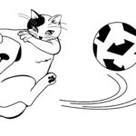 Raskrasil - football (15)