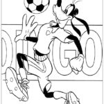 Raskrasil - football (42)