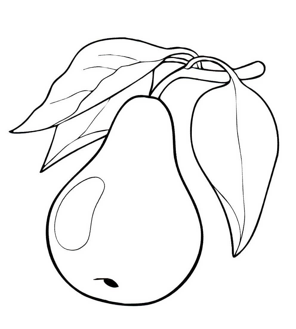 Fruit Coloring Pages | Collection of Printable Fruit Pictures