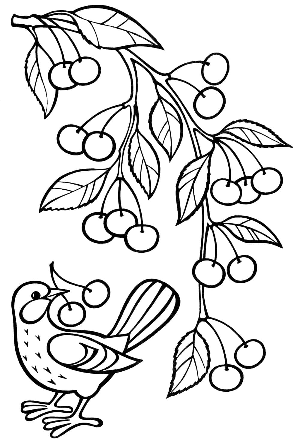 Desenhos de Frutas para colorir - Imprima gratuitamente
