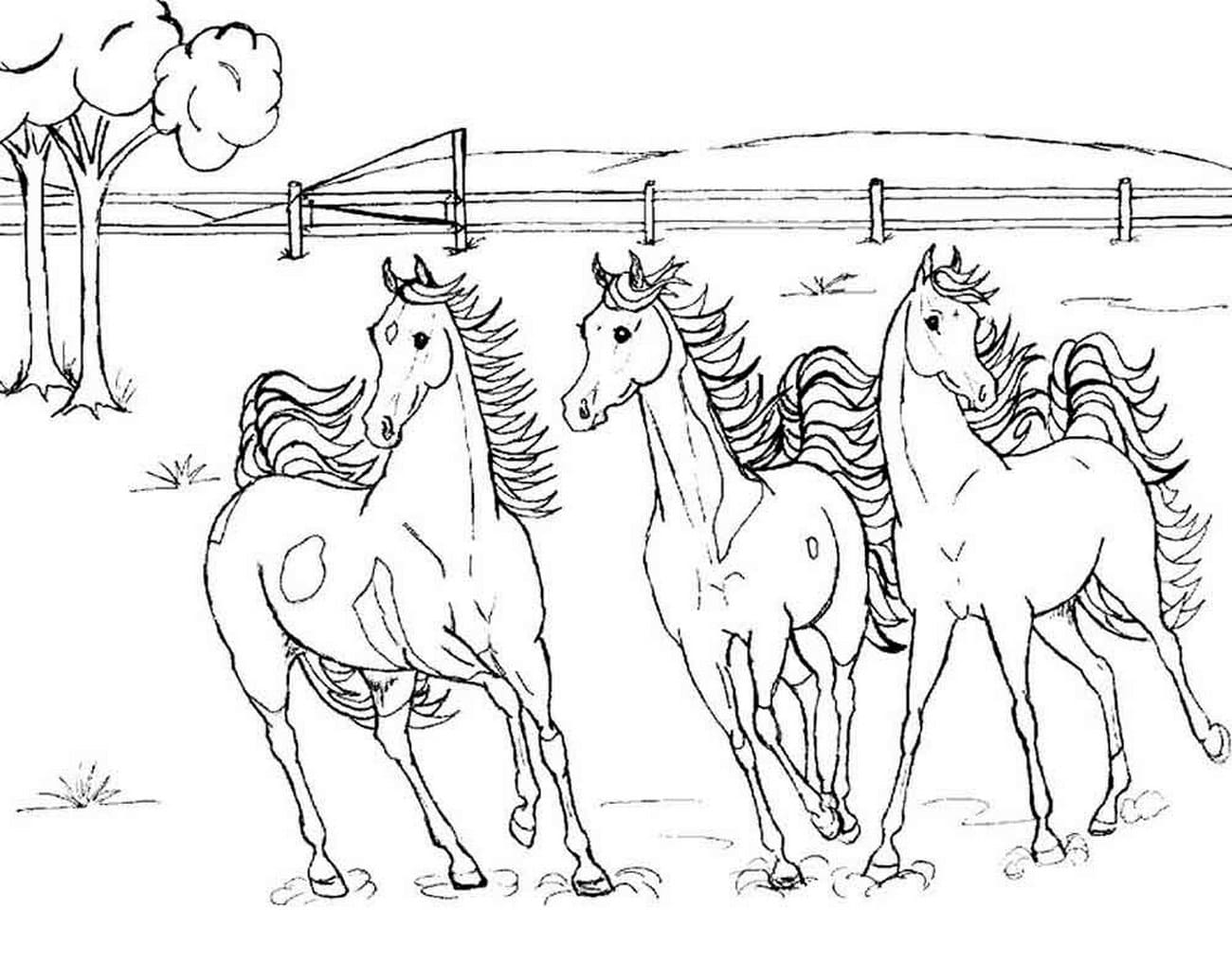 Desenhos para colorir Cavalo. Grande coleção, 100 peças. Imprimir online