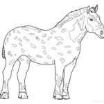 Previous Attachment