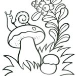 Raskrasil - osen' (1)