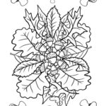 Previous Attachment