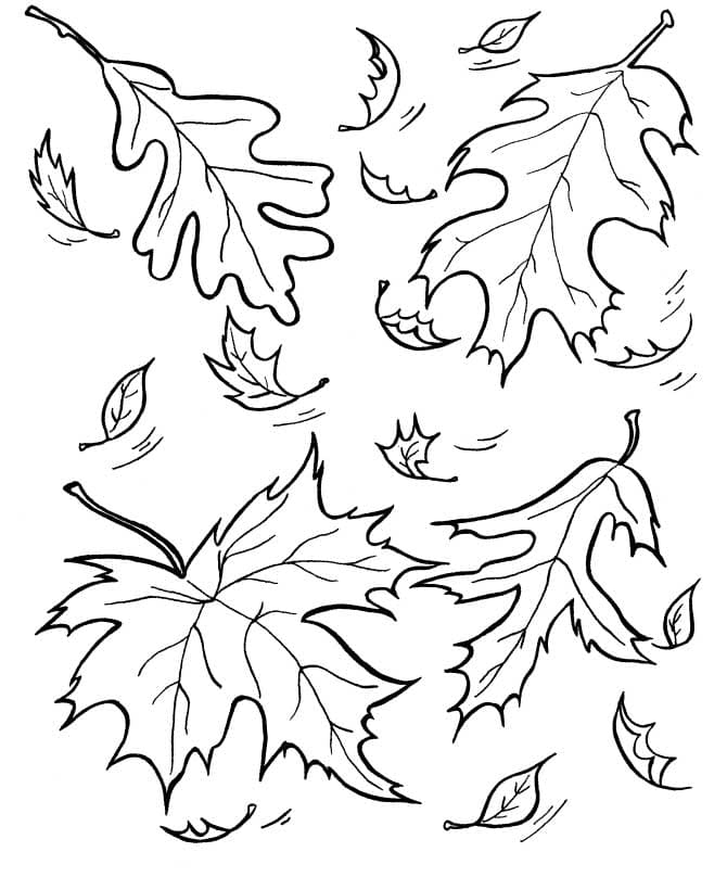 Desenhos de Outono para Colorir - 70 imagens para impressão gratuita
