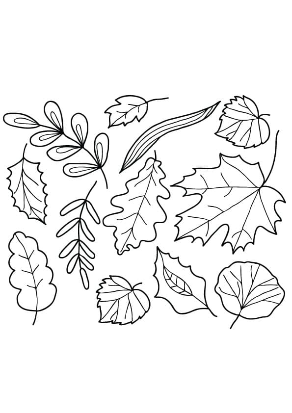 Desenhos de Outono para Colorir - 70 imagens para impressão gratuita