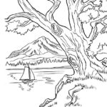 Previous Attachment