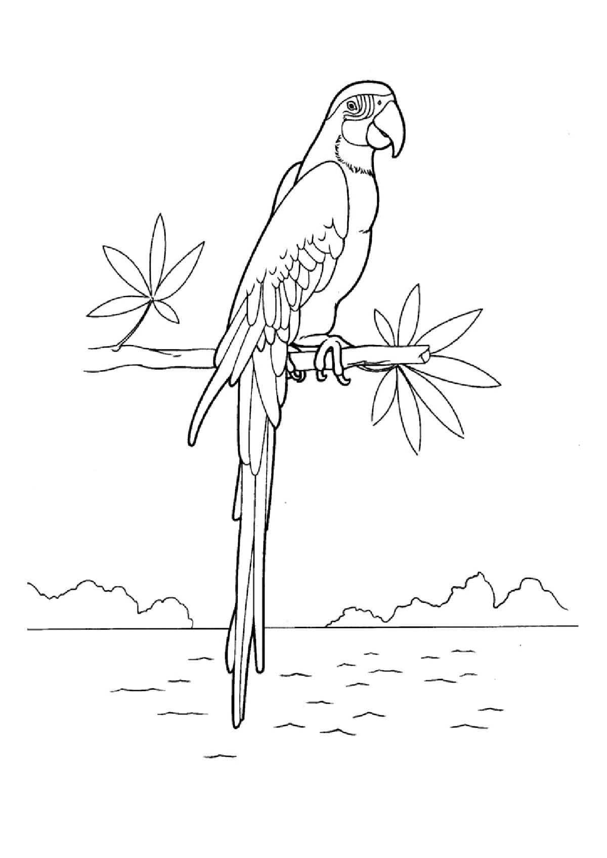 Disegni di Uccelli da colorare. 75 immagini per la stampa gratuita