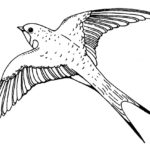 Previous Attachment