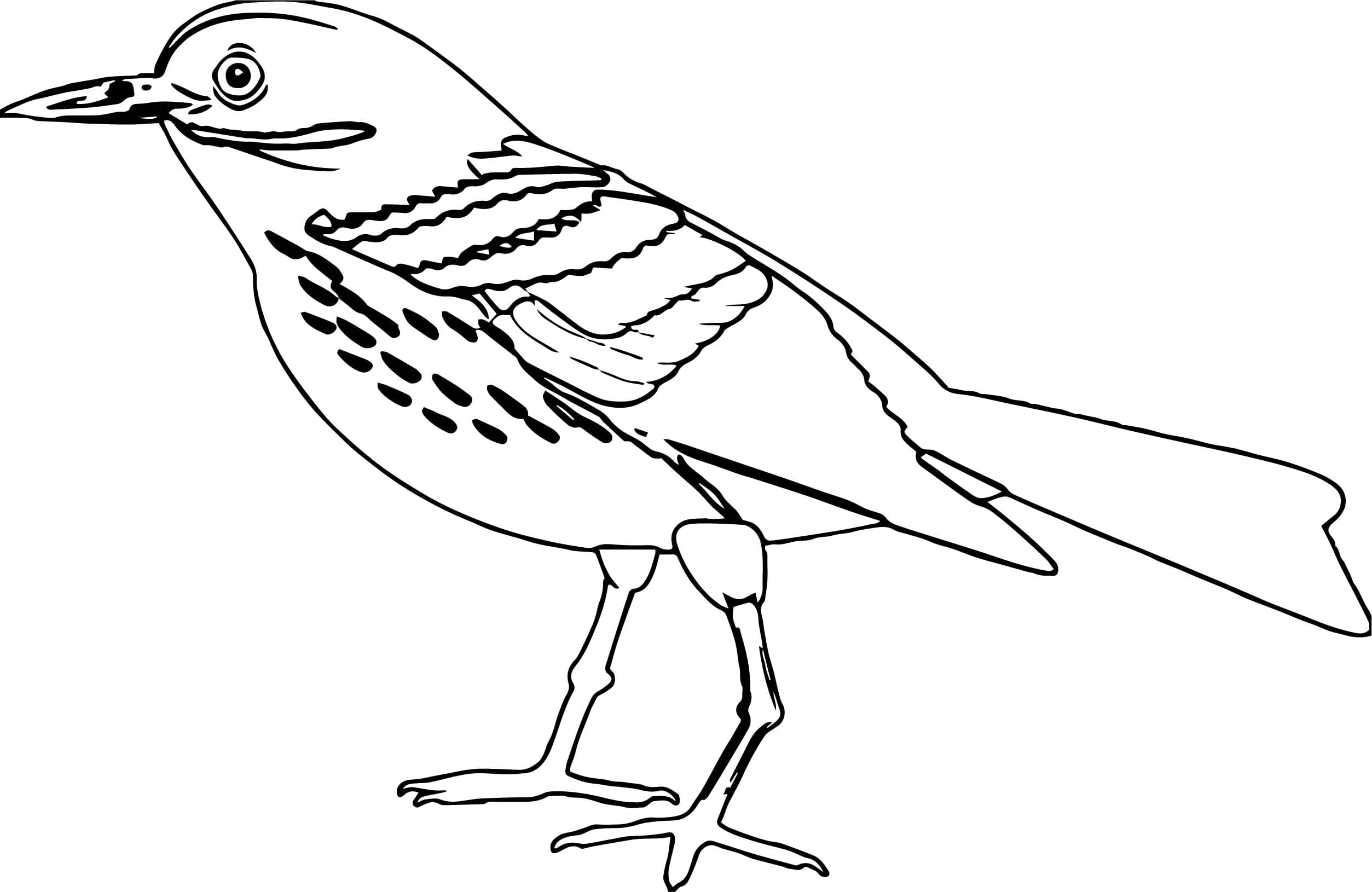 Disegni di Uccelli da colorare. 75 immagini per la stampa gratuita