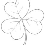 Raskrasil - shamrock (7)