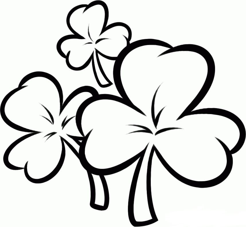 Shamrock Coloring Pages - St.Patrick 's Day | Free Printable