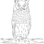Previous Attachment