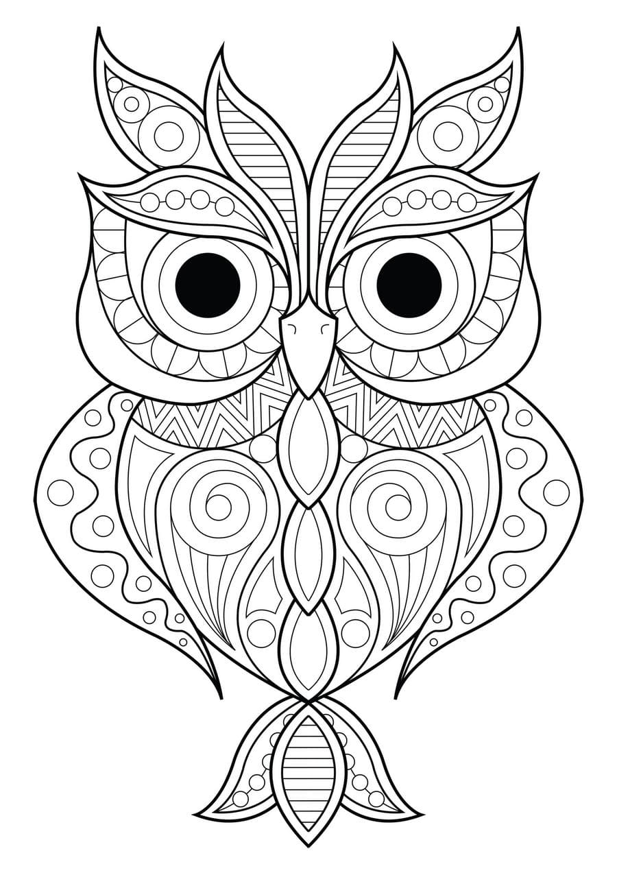 Desenho de Coruja para colorir. 100 imagens de aves gratuitamente