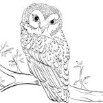 Previous Attachment