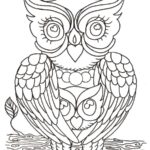 Previous Attachment