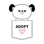 Raskrasil.com-Adopt me - 33