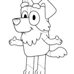 Raskrasil.com-Bluey-11