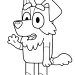 Raskrasil.com-Bluey-28