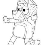 Raskrasil.com-Bluey-29