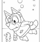 Raskrasil.com-Bluey-45