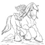 Raskrasil.com-Brave-15